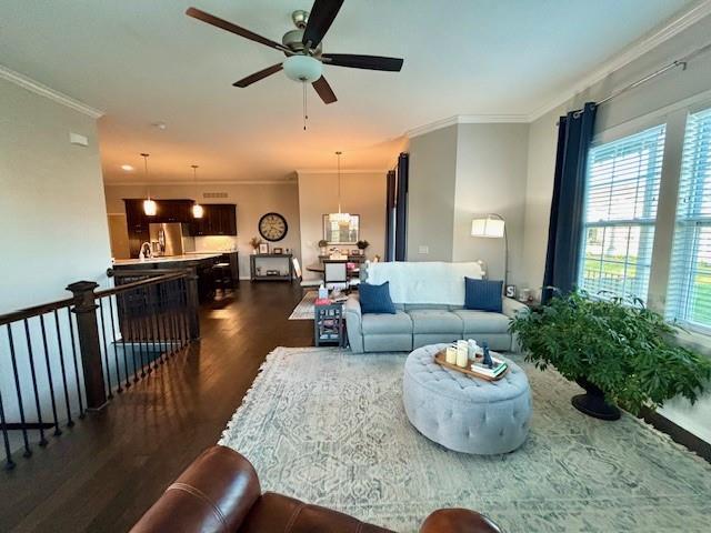 living room with crown molding, dark wood-style floors, and a wealth of natural light