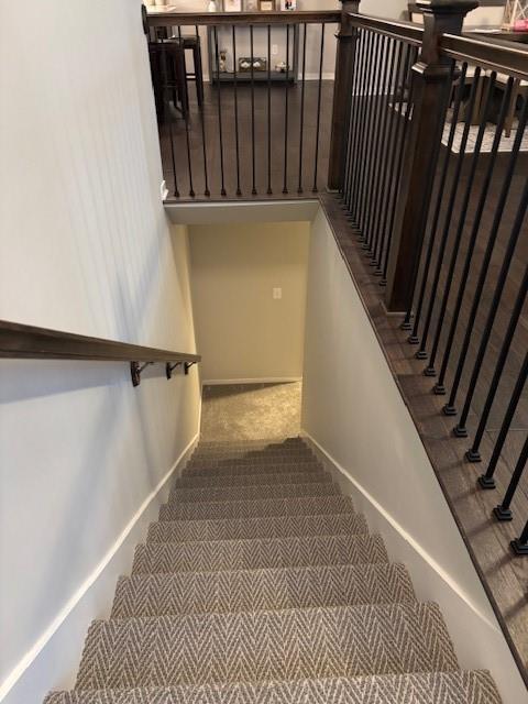 stairway featuring baseboards and carpet