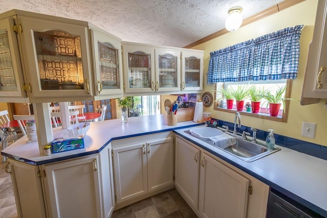 kitchen with light countertops, plenty of natural light, and a sink