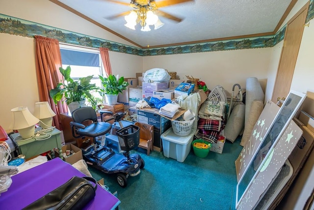 storage with a ceiling fan