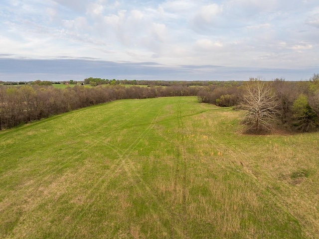 view of yard with a rural view