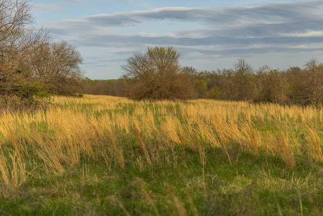 view of nature featuring a forest view