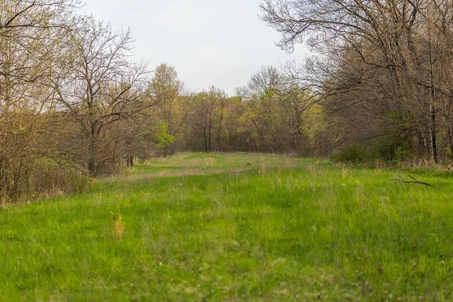 view of local wilderness with a wooded view