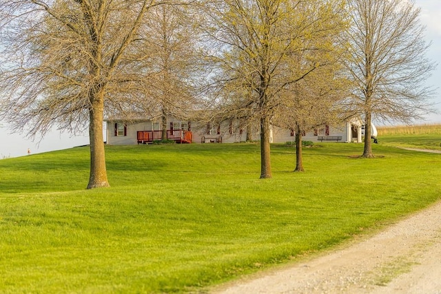 view of yard with a wooden deck