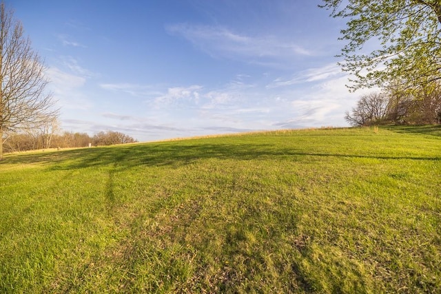 view of yard with a rural view