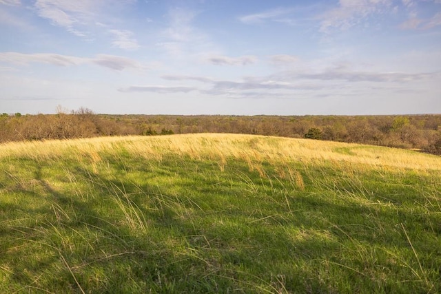 view of local wilderness featuring a rural view
