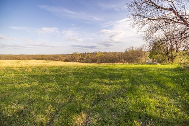view of yard featuring a rural view