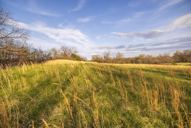 view of landscape featuring a rural view