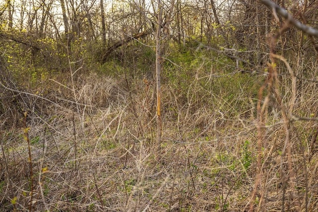 view of nature