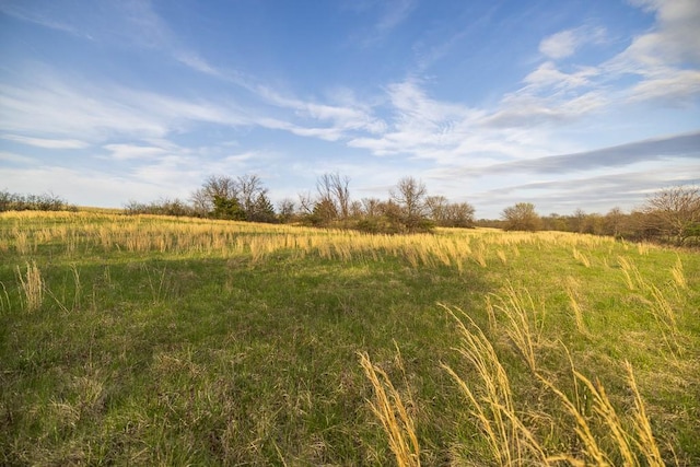 view of nature featuring a rural view