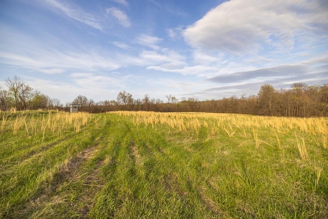 view of landscape featuring a rural view