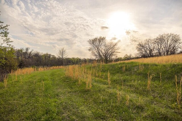 view of landscape with a rural view