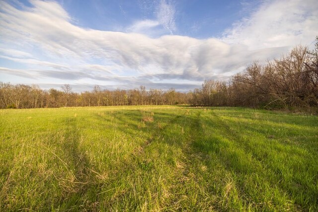 view of nature featuring a rural view and a forest view