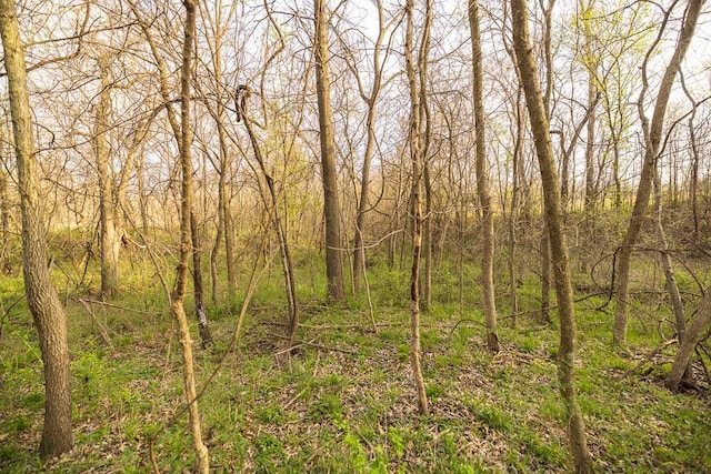 view of local wilderness featuring a wooded view