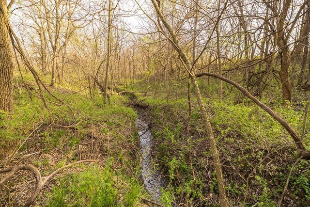 view of local wilderness with a forest view