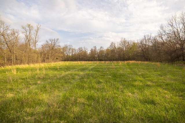 view of local wilderness featuring a wooded view and a rural view