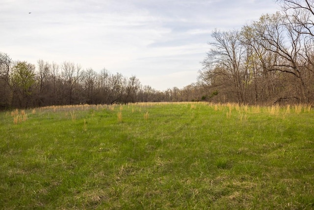 view of landscape featuring a rural view