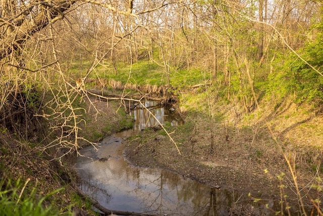 view of local wilderness