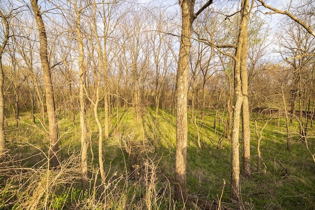 view of landscape featuring a forest view