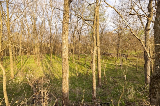 view of landscape featuring a wooded view