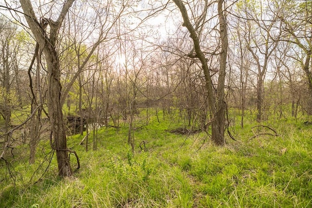 view of nature with a view of trees