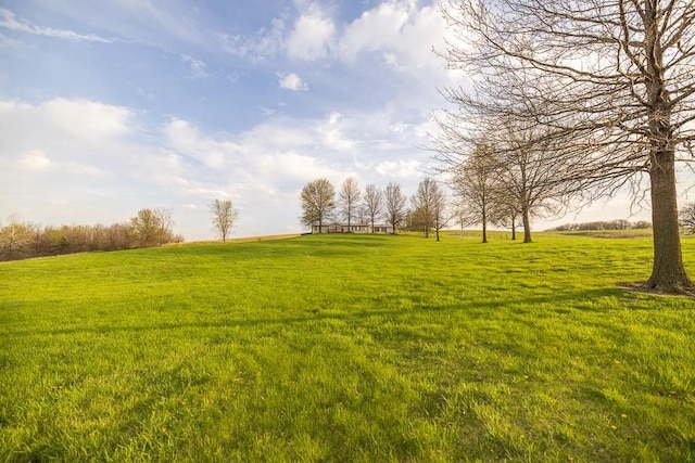 view of yard with a rural view