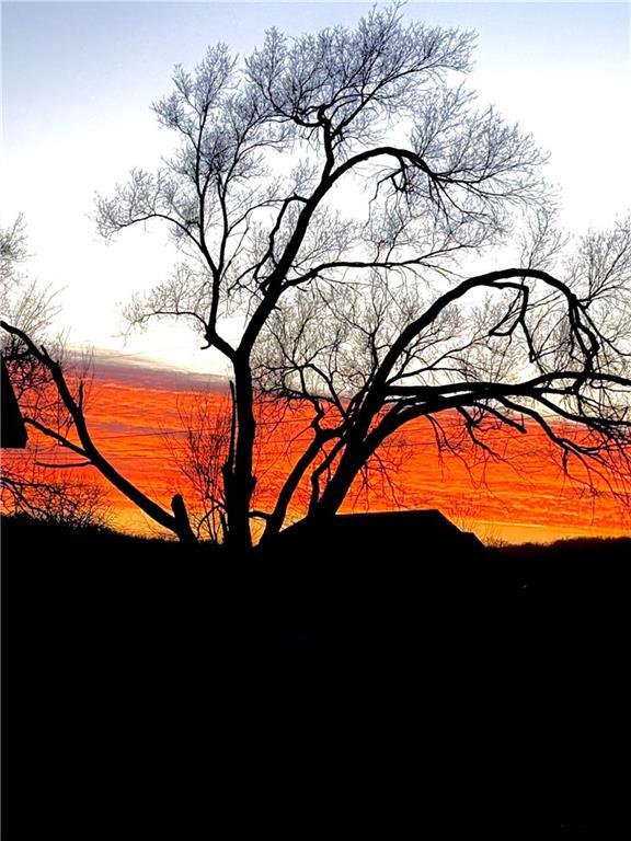 view of nature