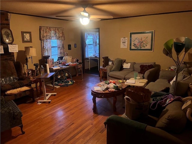 living area with ceiling fan and wood finished floors