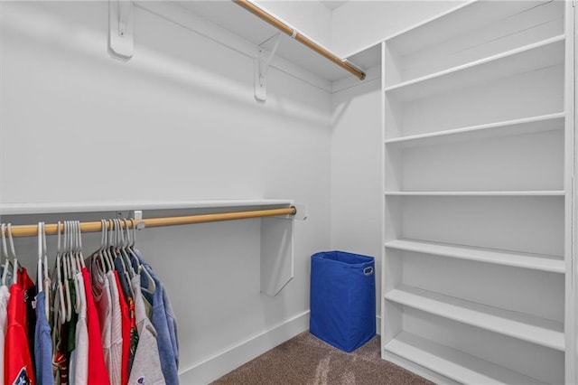 spacious closet featuring carpet
