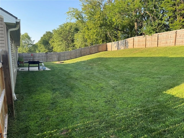 view of yard with a fenced backyard