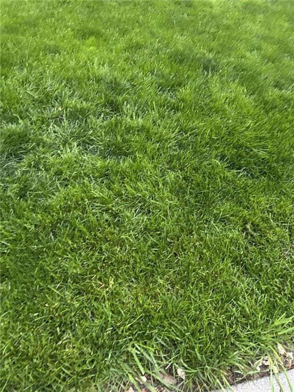 14701 Holmes Rd, Kansas City MO, 64145 land for sale
