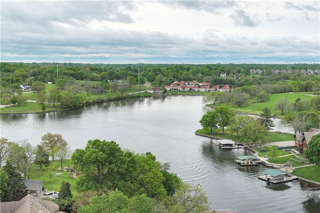 1719 NE Lake Shore Dr, Lees Summit, MO 64086 - photo 56