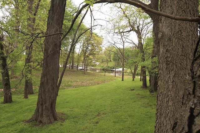 1719 NE Lake Shore Dr, Lees Summit, MO 64086 - photo 43