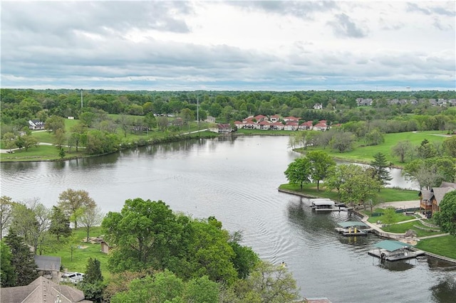1719 NE Lake Shore Dr, Lees Summit, MO 64086 - photo 50