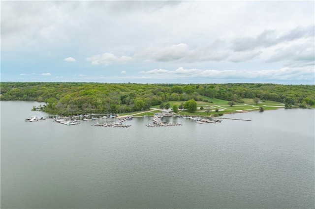 1719 NE Lake Shore Dr, Lees Summit, MO 64086 - photo 53