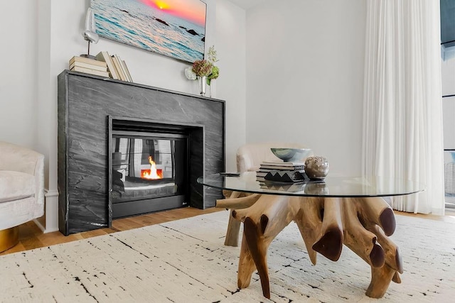 room details with a high end fireplace and wood finished floors