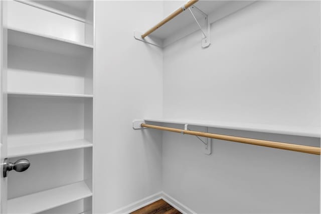 spacious closet featuring dark wood-style flooring