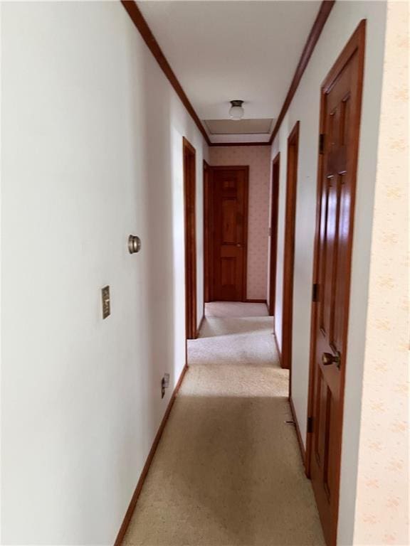 corridor featuring crown molding and light colored carpet
