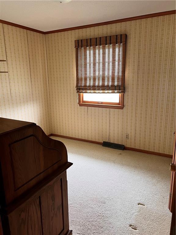 spare room with crown molding, baseboards, and carpet