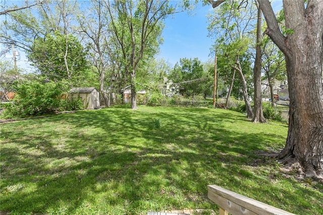 314 N Lake St, Pleasant Hill, MO 64080 - view of yard with an outdoor structure and a shed