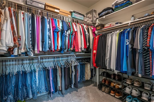 spacious closet featuring carpet flooring