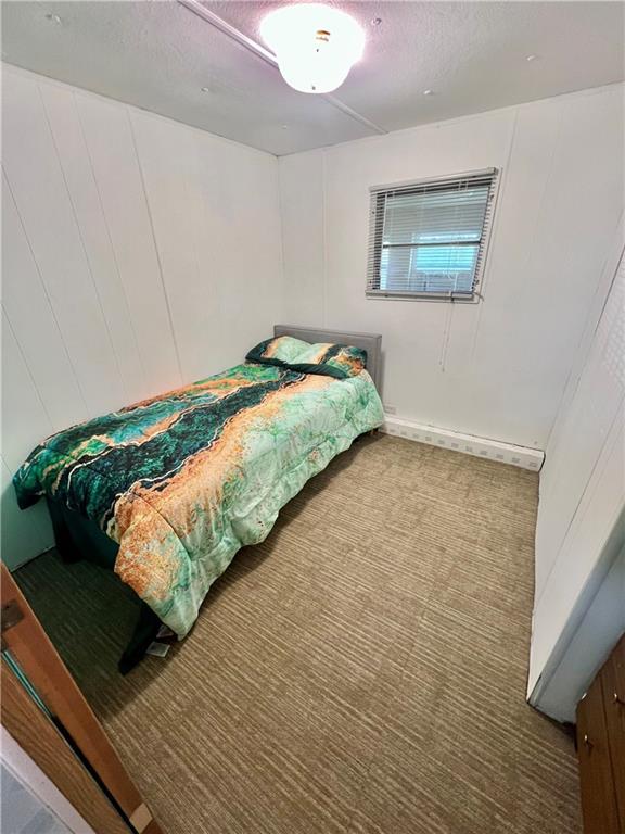 15823 Colorado Pl, Princeton, MO 64673 - bedroom with carpet and a textured ceiling