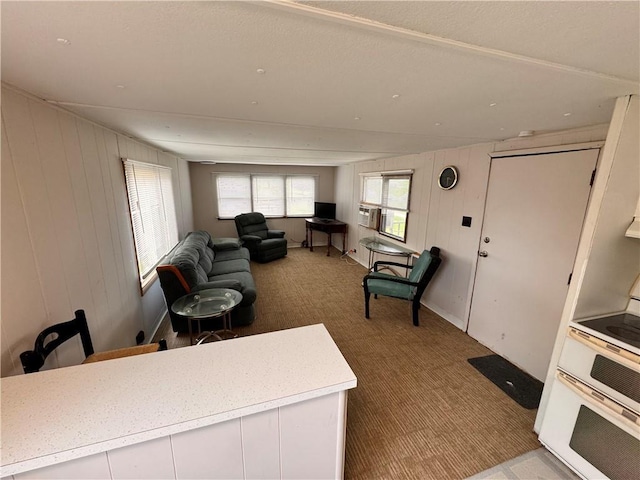 15823 Colorado Pl, Princeton, MO 64673 - living room with carpet and wooden walls