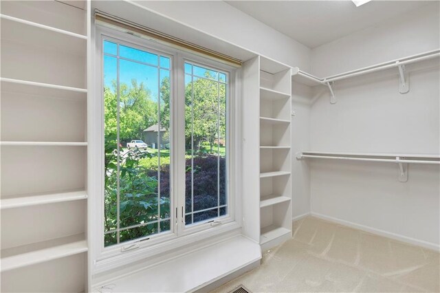 walk in closet with carpet