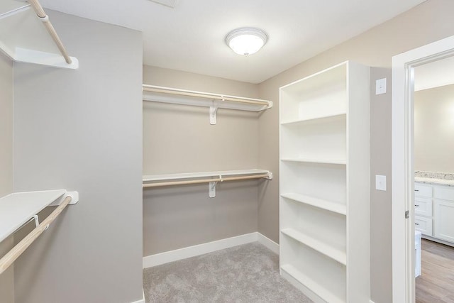 spacious closet featuring light colored carpet