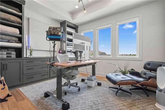 office space featuring wood finished floors and a tray ceiling