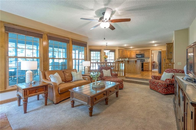 14241 W 113th Ter, Olathe, KS 66062 - living area featuring light carpet, a textured ceiling, a ceiling fan, and baseboards