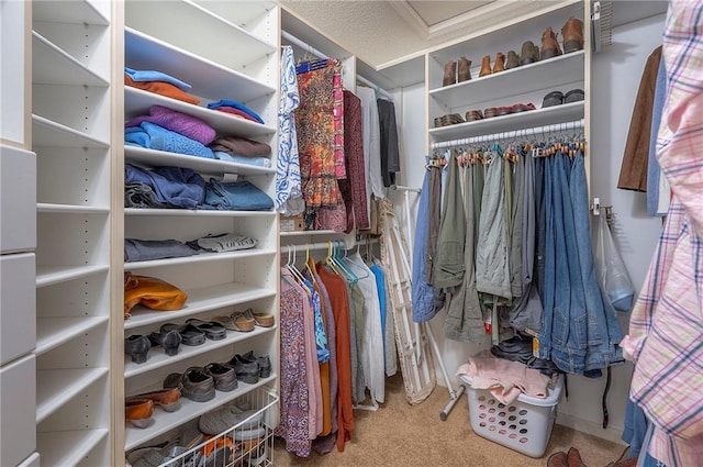 14241 W 113th Ter, Olathe, KS 66062 - spacious closet with carpet floors and attic access