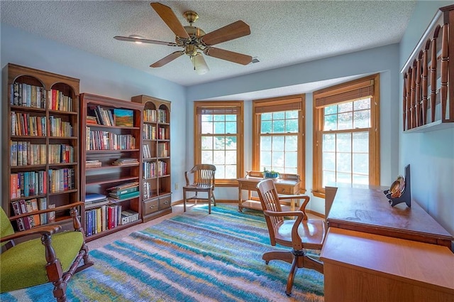 14241 W 113th Ter, Olathe, KS 66062 - carpeted office with healthy amount of natural light, a ceiling fan, a textured ceiling, and baseboards