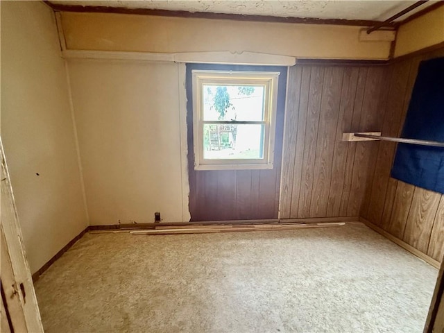 spare room featuring wooden walls, baseboards, and carpet